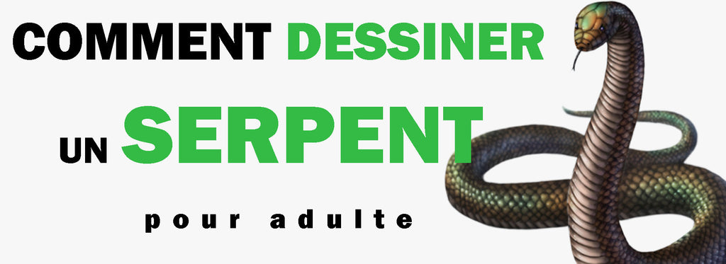 Comment Dessiner un Serpent pour un Adulte