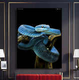 Poster Serpent l Snake Temple